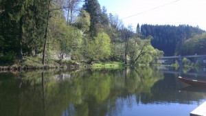 Blick auf die Große Mühl.