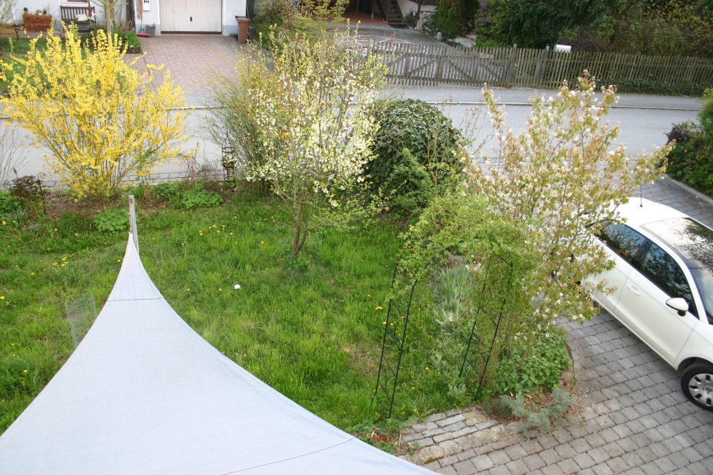 Garten zwischen Straße und Haus